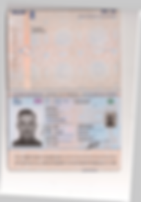 Привет, я был AUDRIUS! Меня купили на MagBo! Теперь я Света!