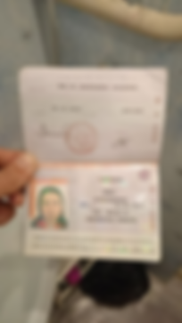 Привет, я была Юлия! Меня купили на MagBo! Теперь я Вася!