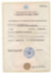 Привет, я была Мария! Меня купили на MagBo! Теперь я Вася!