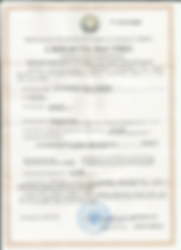 Привет, я была Ольга! Меня купили на MagBo! Теперь я Вася!